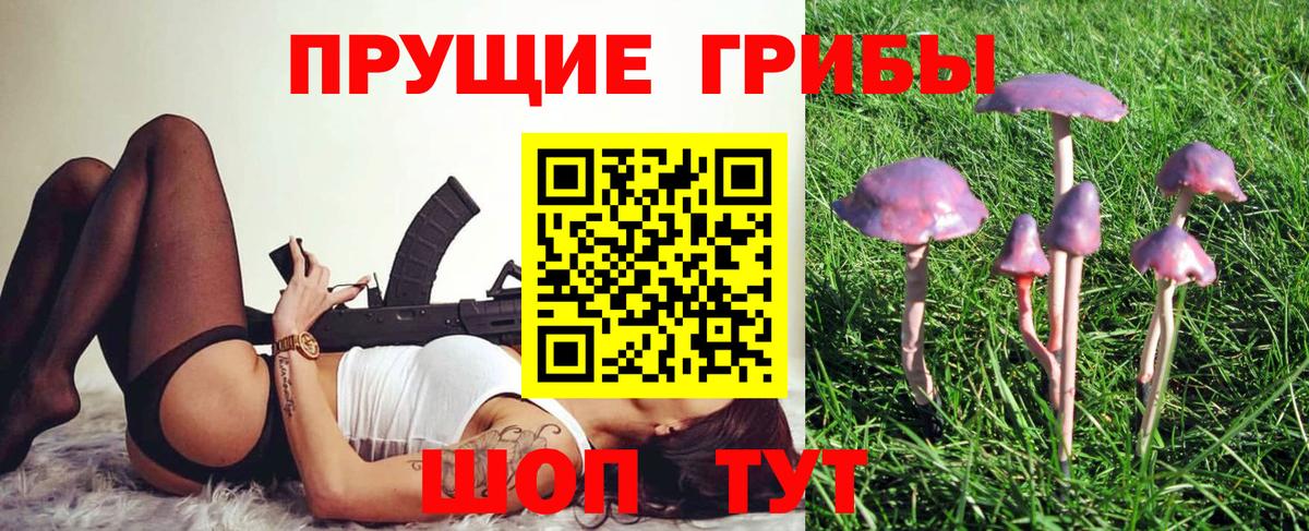 Псилоцибиновые грибы Psilocybine cubensis Сорочинск