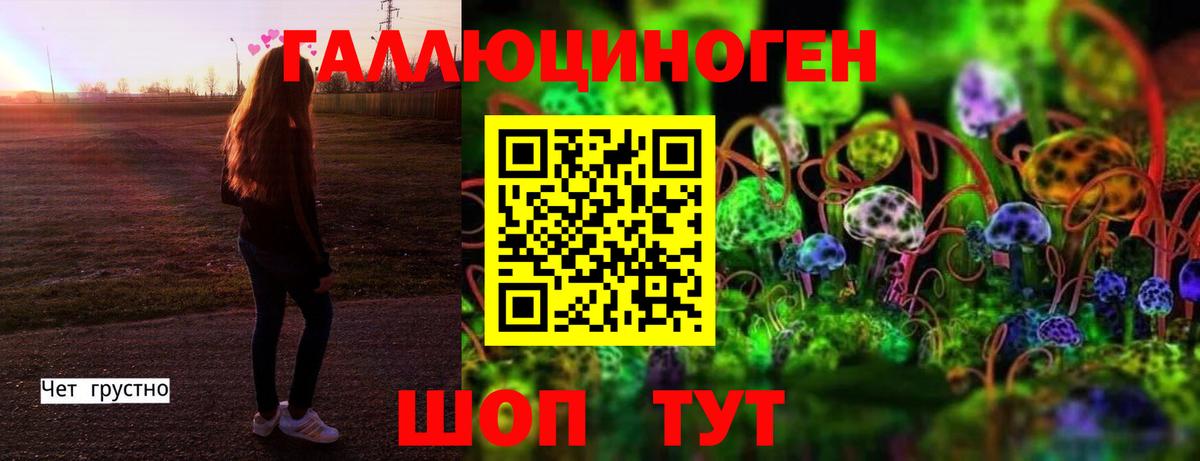 где купить наркоту  Вход с VPN  Сорочинск  Псилоцибиновые грибы ЛСД 